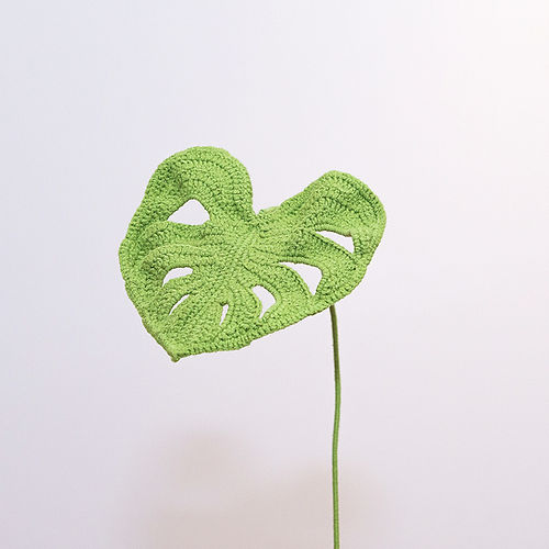 Monstera