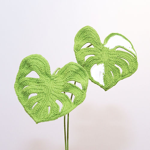 Monstera