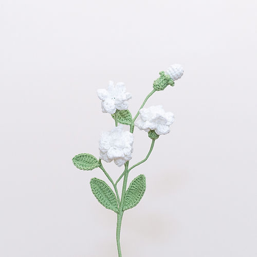 Arabian Jasmine