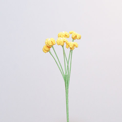 Baby's Breath