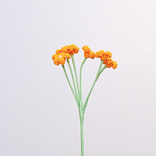 Baby's Breath