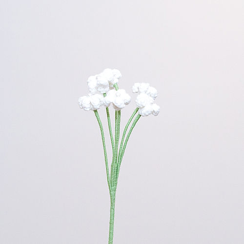Baby's Breath