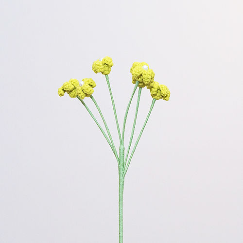 Baby's Breath