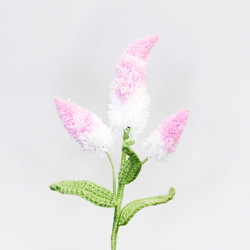 Bunny's Tail