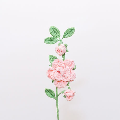 Camellia