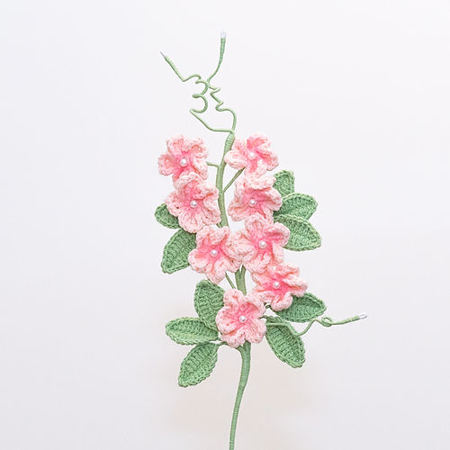 Cherry Blossom