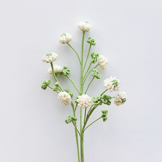 Clover
