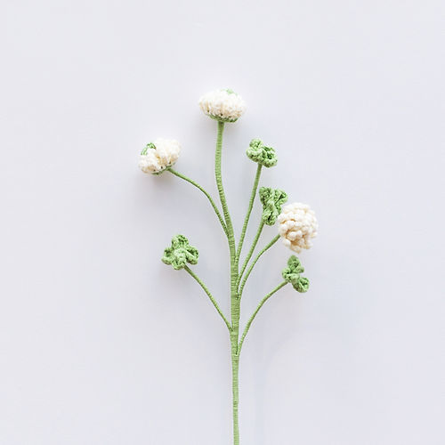 Clover