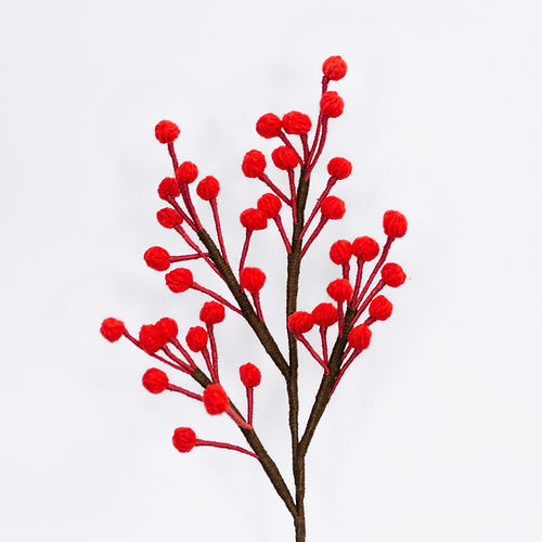 Christmas Berry