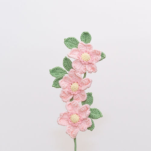 Dog Rose