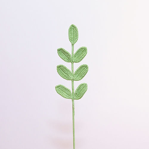 Eucalyptus Leaf