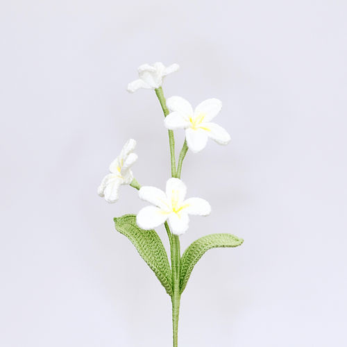 Frangipani