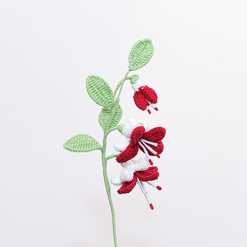Fuchsia