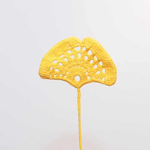 Ginkgo