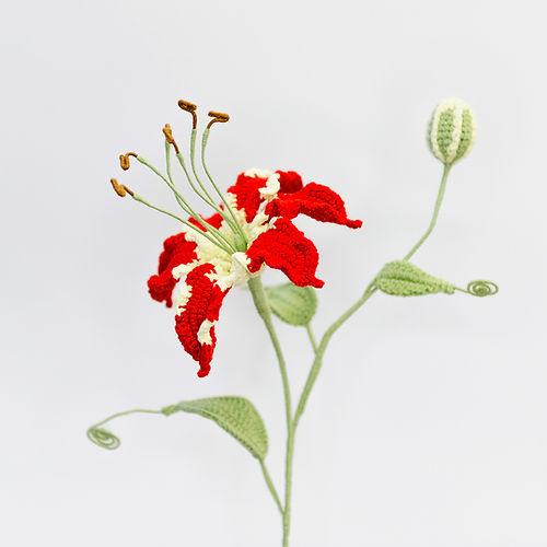 Gloriosa