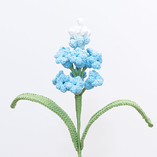 Grape Hyacinth