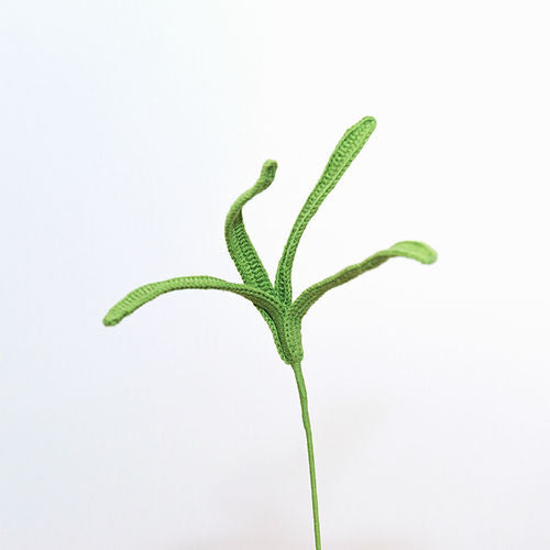 Noble Orchid Leaf