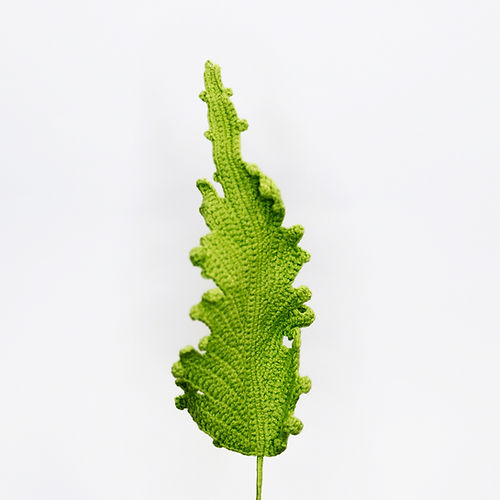 Oak Leaf