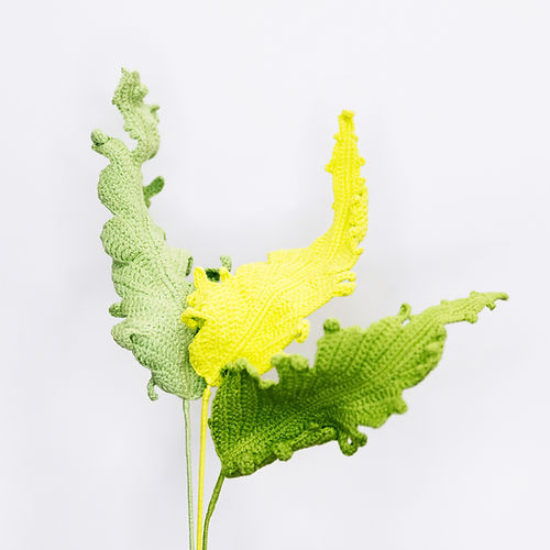Oak Leaf