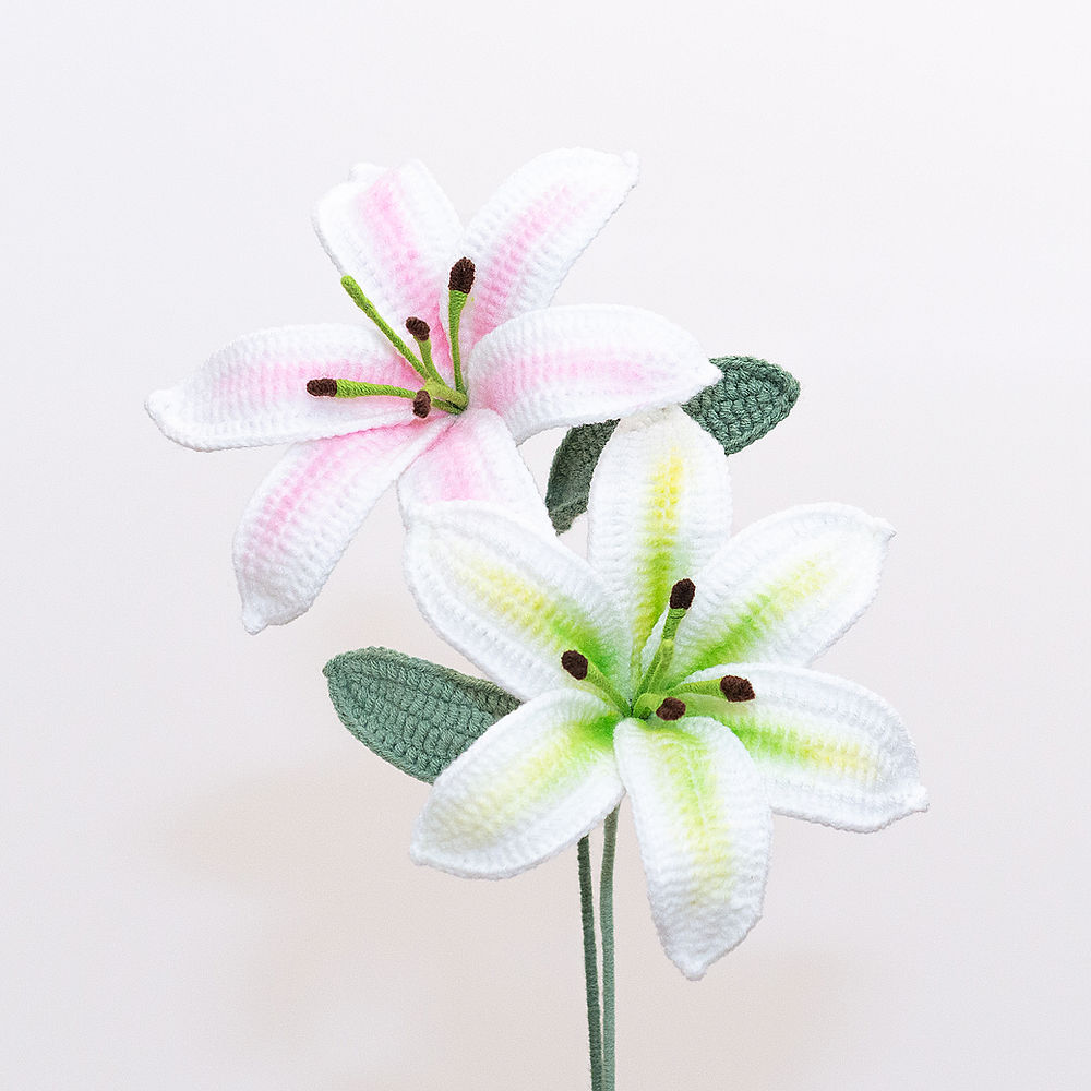Lily