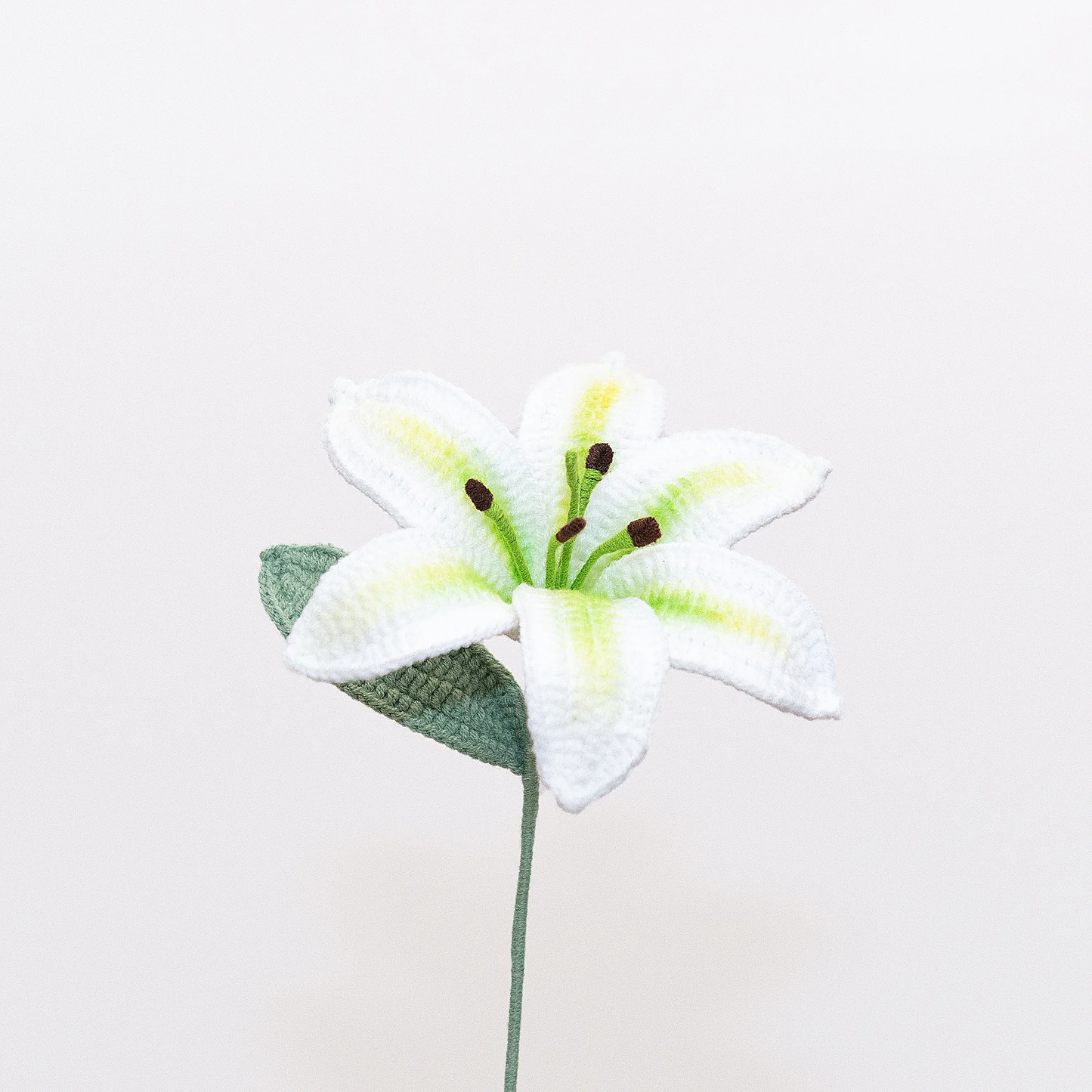 Lily