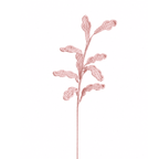 Chrysanthemum Leaf