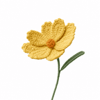 Cosmos