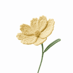 Cosmos