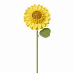 Sunflower-Pro