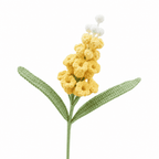 Grape Hyacinth