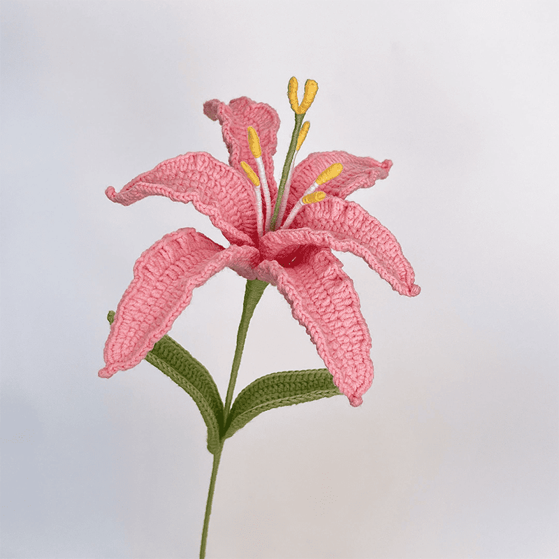 Lily