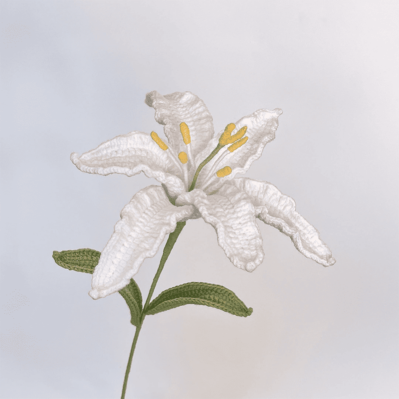 Lily