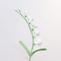 Freesia