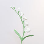 Freesia