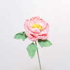 Peony