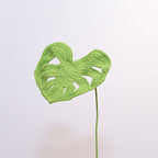 Monstera