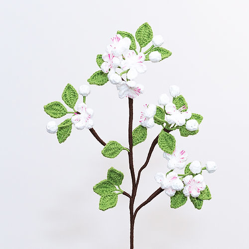 Pear Blossom