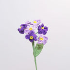 Forget Me Not