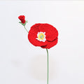 Poppy