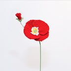 Poppy