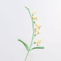 Freesia