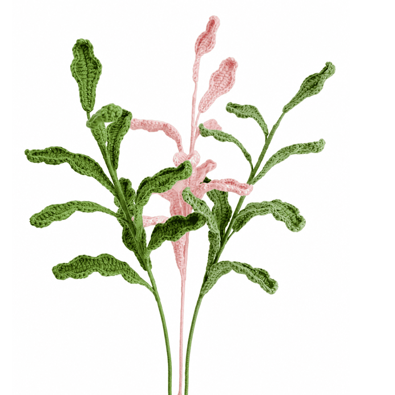 Chrysanthemum Leaf