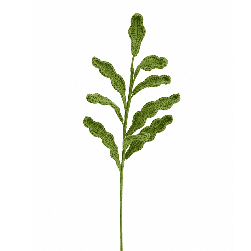 Chrysanthemum Leaf