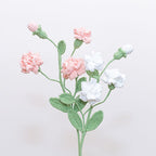 Arabian Jasmine