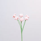 Baby's Breath