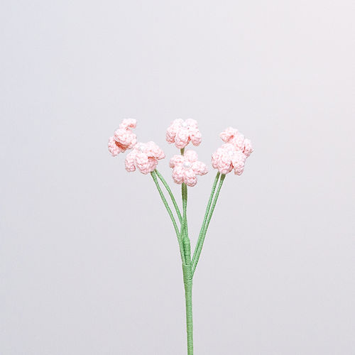 Baby's Breath