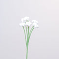 Baby's Breath