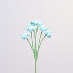 Baby's Breath