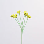 Baby's Breath