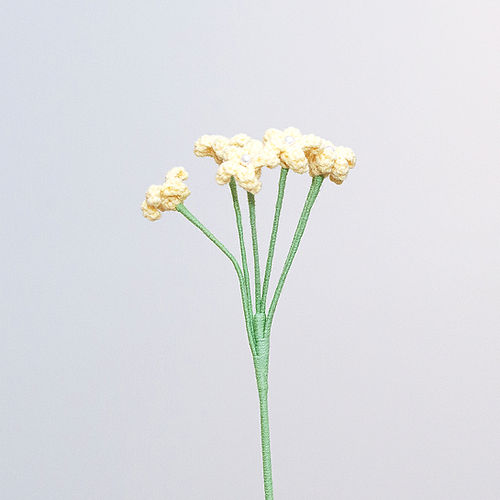 Baby's Breath